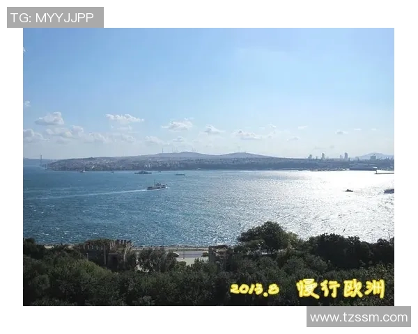 克罗地亚与丹麦对决欧洲盘口分析及预测展望